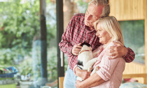 Assurance Vieillesse et Survivants (AVS) en Suisse : le guide complet pour comprendre et optimiser sa retraite