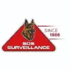 Responsable De Projet Et Support Technique CCTV IDS
