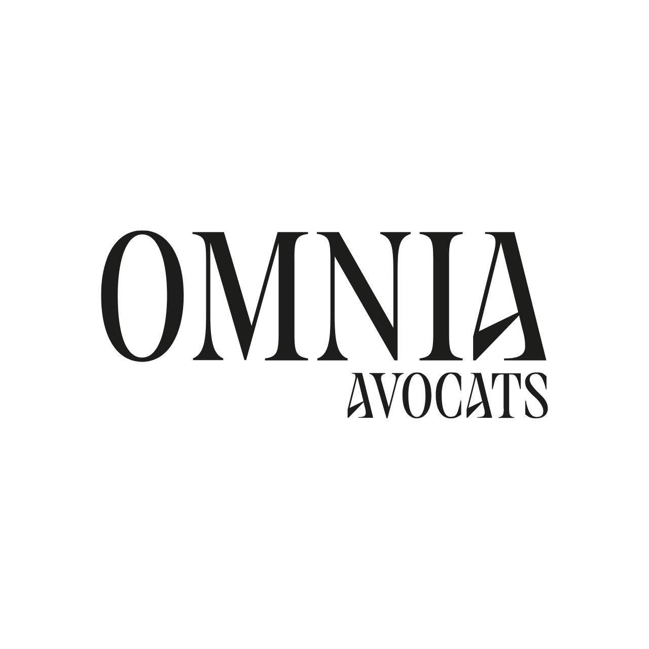 OMNIA AVOCATS -Droit du travail des frontaliers : comprendre vos droits et vous faire accompagner